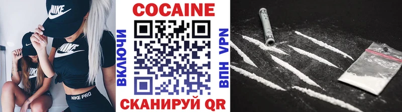 где найти Ижевск COCAIN Эквадор