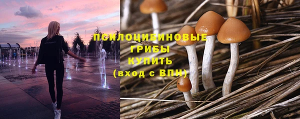 гидропоника Медногорск