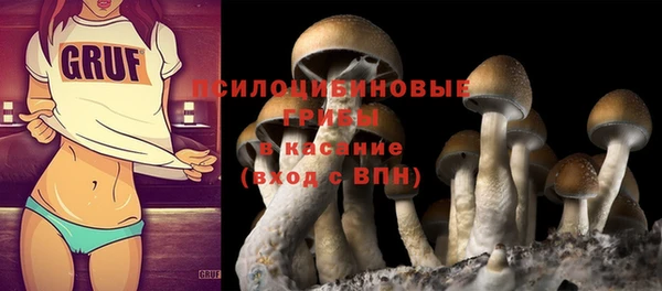 МДПВ Мегион