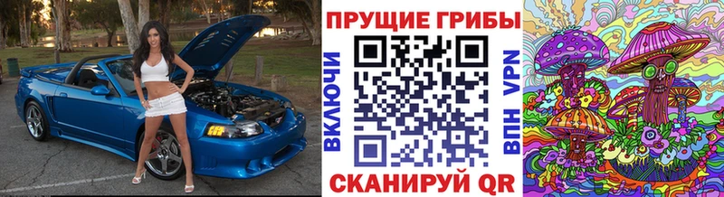Галлюциногенные грибы Psilocybe  закладка  Ижевск 