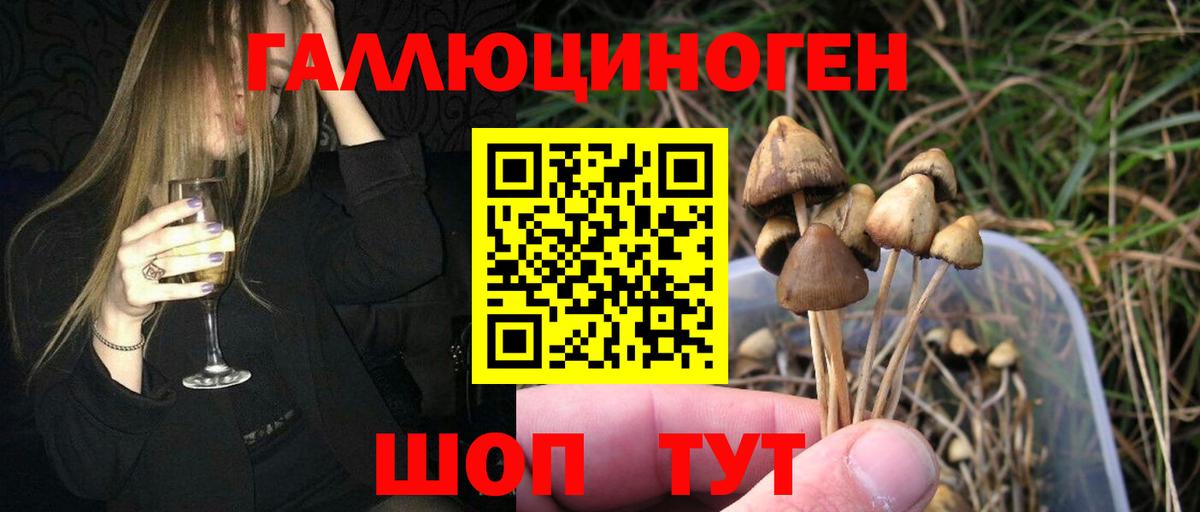 Галлюциногенные грибы Cubensis Ижевск