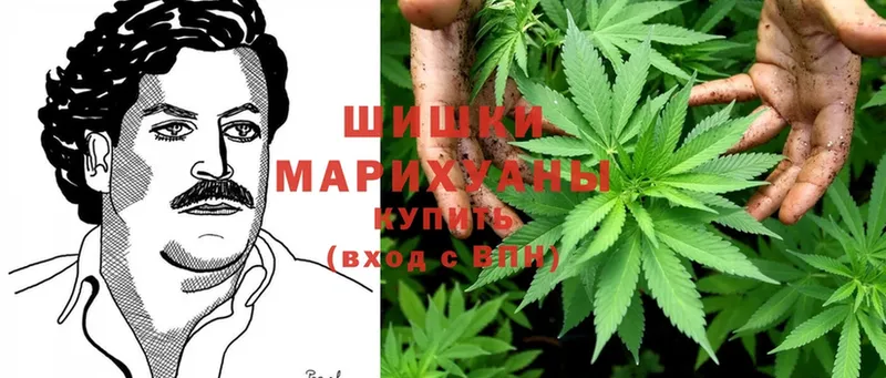 купить закладку  Ижевск  Бошки Шишки OG Kush 