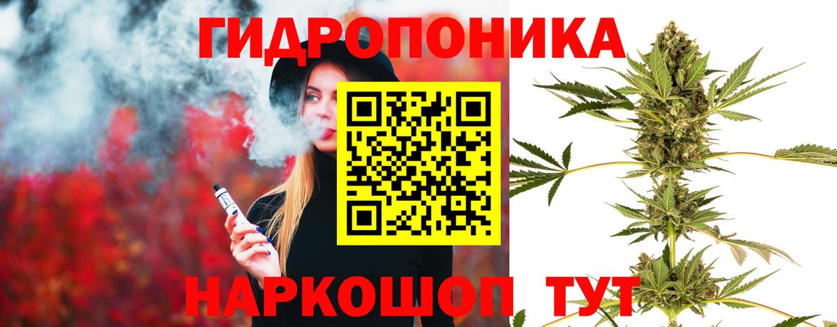 Бошки марихуана марихуана Ижевск